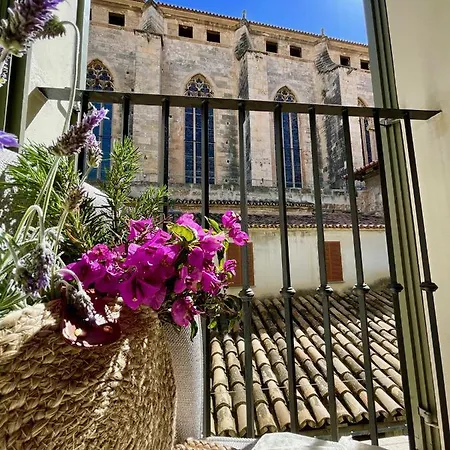 Basilica Hotel 4*